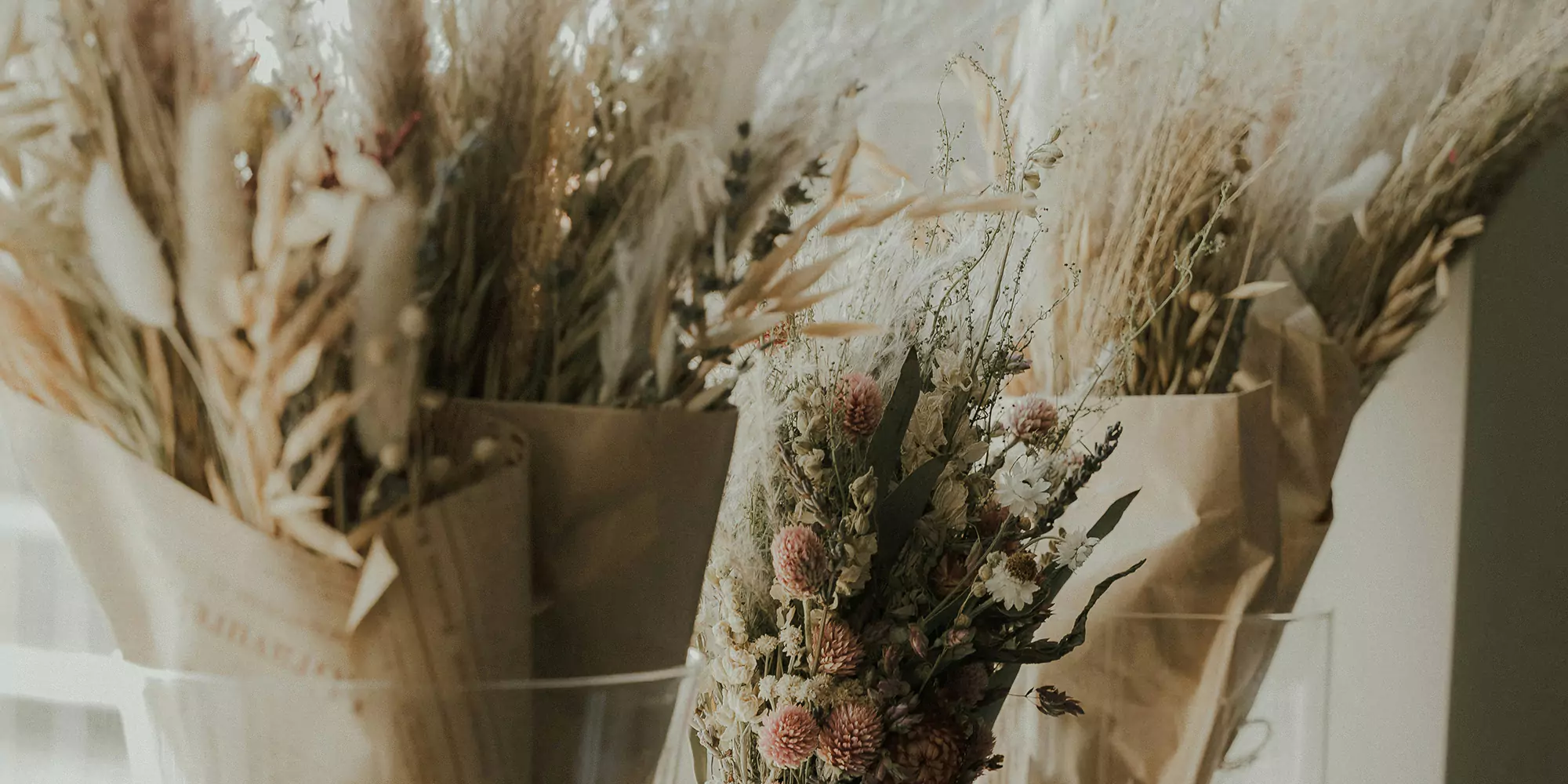 andres-molina-5wqdu4rvlla-unsplash-hero2